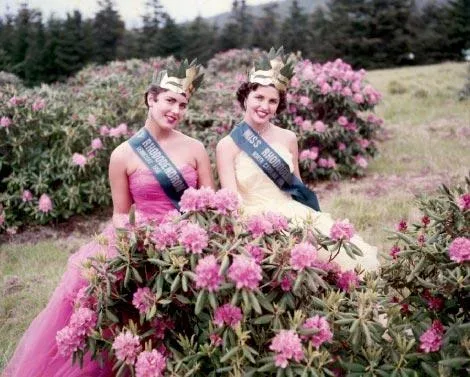 Beauty Queens at Roan Mountain NC
